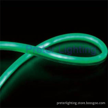 Neon LED Light